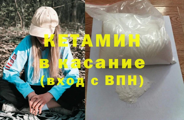 сатива Ростов